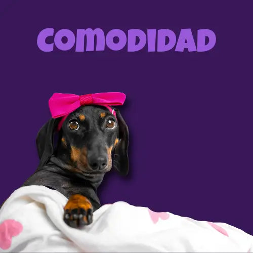 El Rincón Peludo
