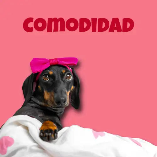 El Rincón Peludo