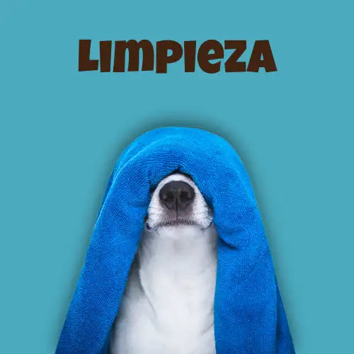 Spa Para mascotas